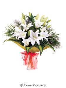 White Lily